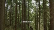 Episode:Whispers