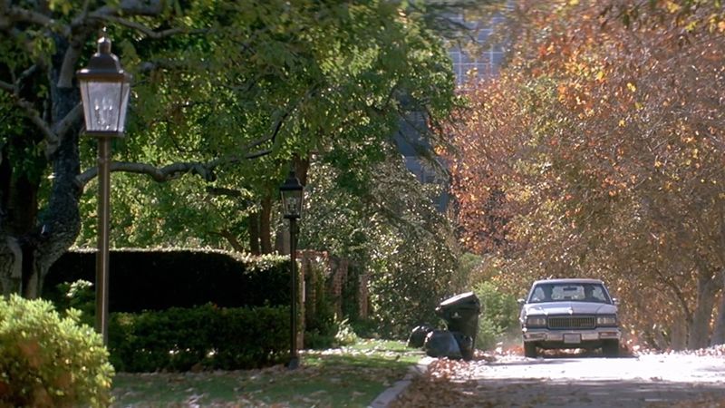 File:Winter Park suburb street.jpg