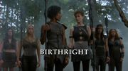 Episode:Birthright
